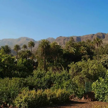Casa Rural La Fuente de la Flora-2